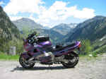 100-0021_IMG_c.jpg (206809 Byte)