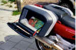 baby2_c.jpg (87412 Byte)