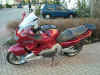 03160002_o.jpg (285340 Byte)