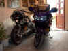 P1010500_o.jpg (28695 Byte)
